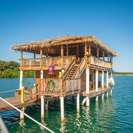 Wikkid Resort Dixon Cove المظهر الخارجي الصورة