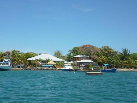 Wikkid Resort Dixon Cove المظهر الخارجي الصورة