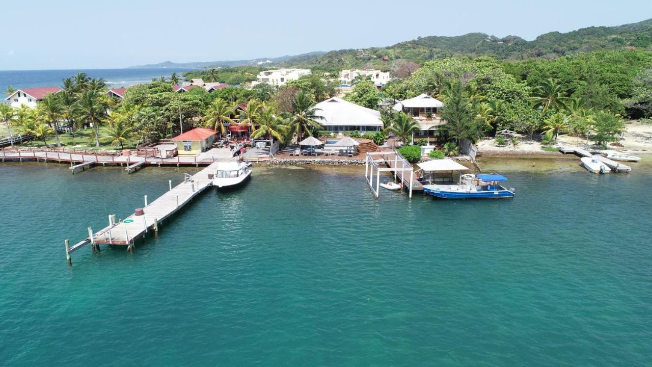 Wikkid Resort Dixon Cove المظهر الخارجي الصورة