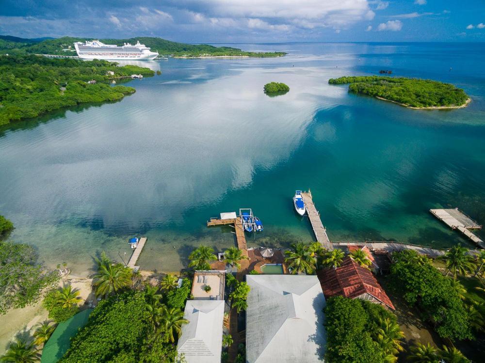 Wikkid Resort Dixon Cove المظهر الخارجي الصورة
