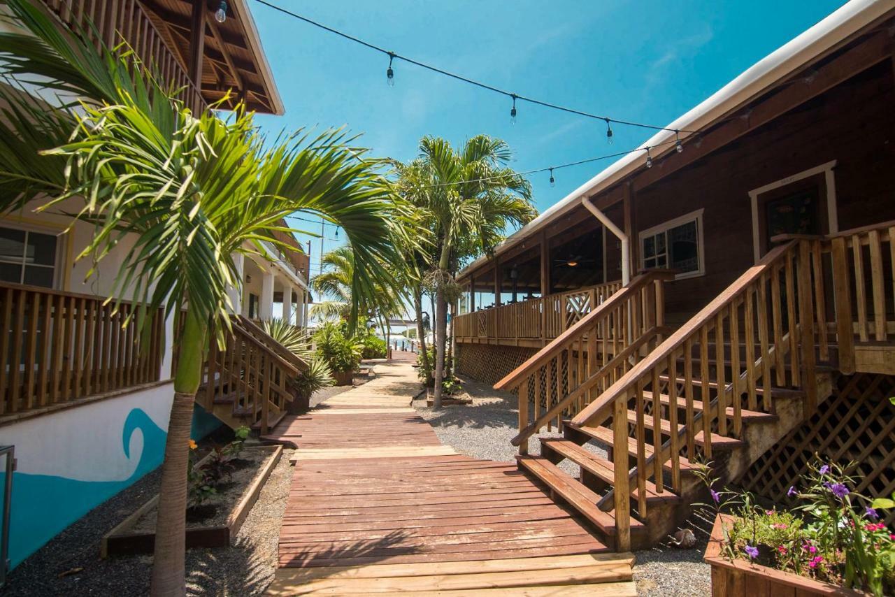 Wikkid Resort Dixon Cove المظهر الخارجي الصورة