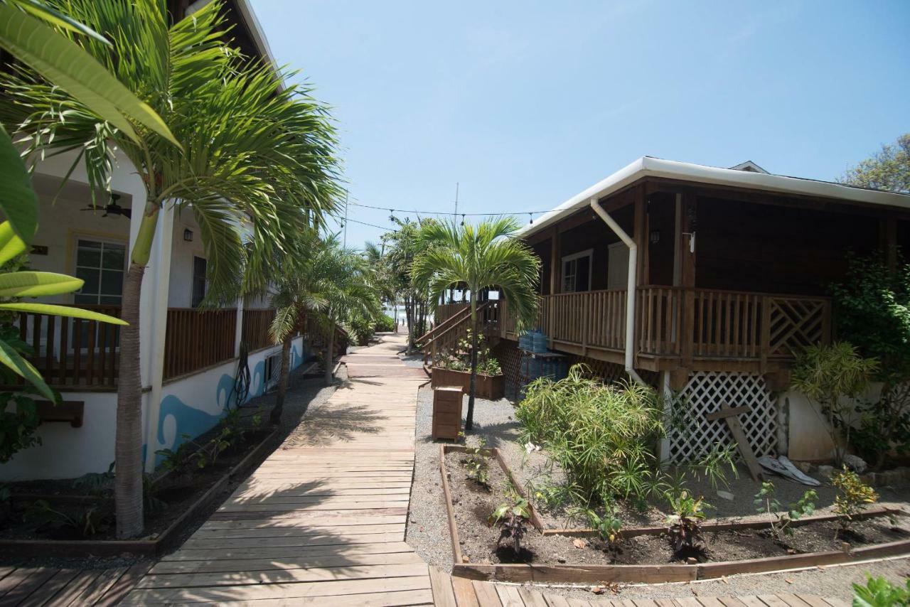 Wikkid Resort Dixon Cove المظهر الخارجي الصورة