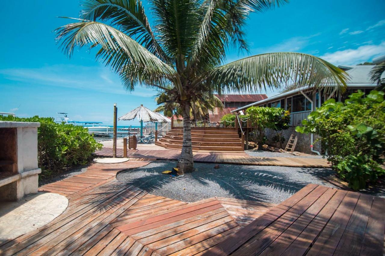Wikkid Resort Dixon Cove المظهر الخارجي الصورة