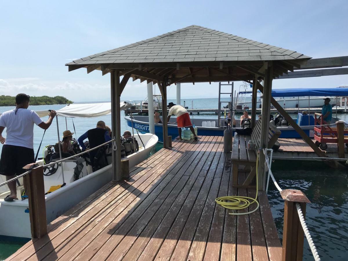Wikkid Resort Dixon Cove المظهر الخارجي الصورة
